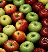 apples2.gif (12257 bytes)